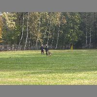 DSCN3115