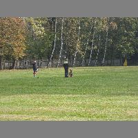DSCN3116