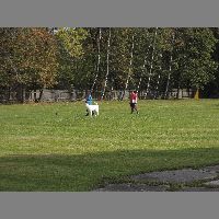 DSCN3124