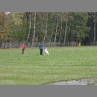 DSCN3135