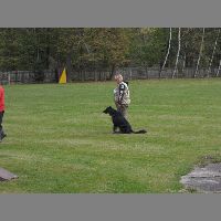 DSCN3141