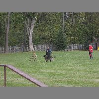 DSCN3150