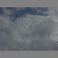 DSCN3154