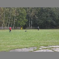 DSCN3155
