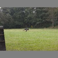 DSCN3163