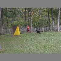 DSCN3164