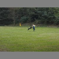 DSCN3169
