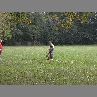 DSCN3179