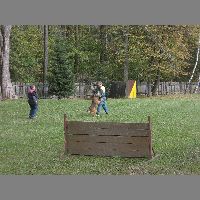 DSCN3195
