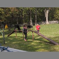 DSCN3198