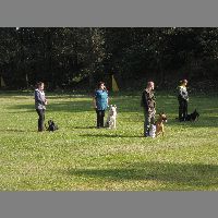 DSCN3208