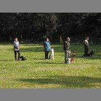 DSCN3210