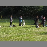 DSCN3224