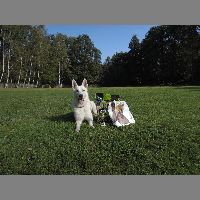 DSCN3256