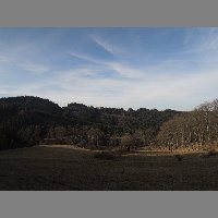 DSCN8877