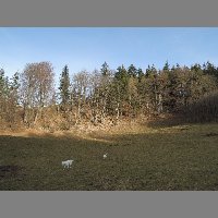 DSCN8879