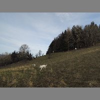 DSCN8895