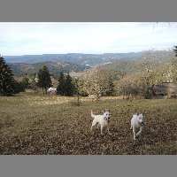 DSCN8923