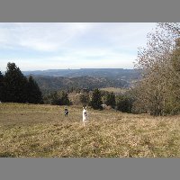 DSCN8926