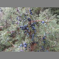 DSCN8979