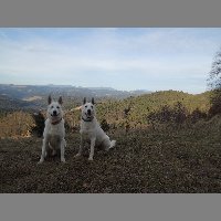 DSCN9015