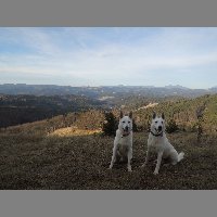DSCN9018