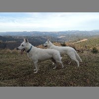 DSCN9023