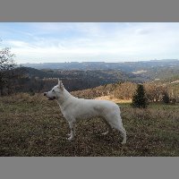 DSCN9028