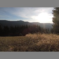 DSCN9079