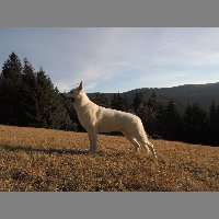 DSCN9081