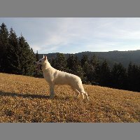DSCN9089