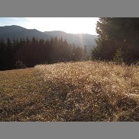 DSCN9090