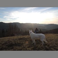 DSCN9109