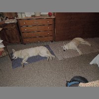 DSCN9135