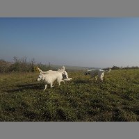 DSCN8601