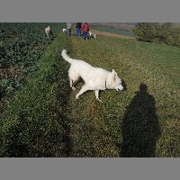 DSCN8611