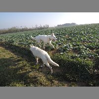 DSCN8617