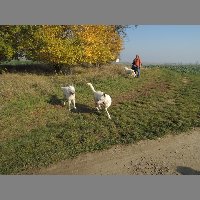 DSCN8626