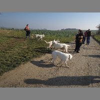 DSCN8627