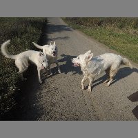 DSCN8628