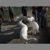 DSCN8629