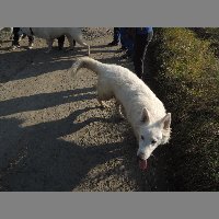 DSCN8634