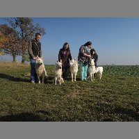 DSCN8656