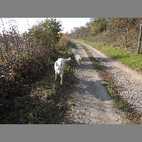 DSCN8672