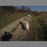 DSCN8676