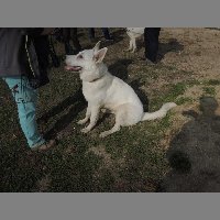 DSCN8689
