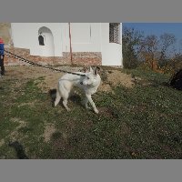 DSCN8691