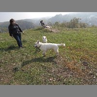 DSCN8695