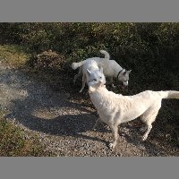 DSCN8707