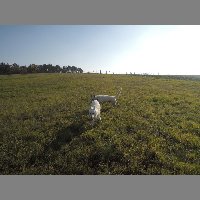 DSCN8721
